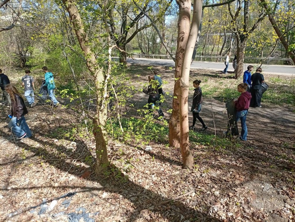 Może być zdjęciem przedstawiającym drzewo